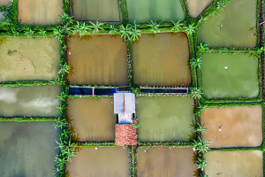 Agriculture Land - Propertyalerts